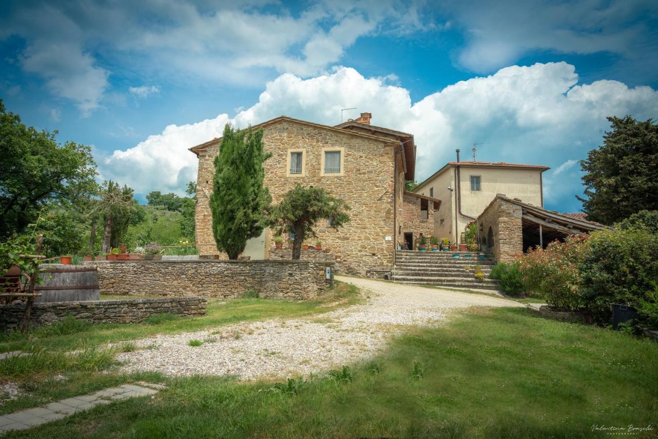Agriturismo Corzano Barberino di Mugello Dış mekan fotoğraf