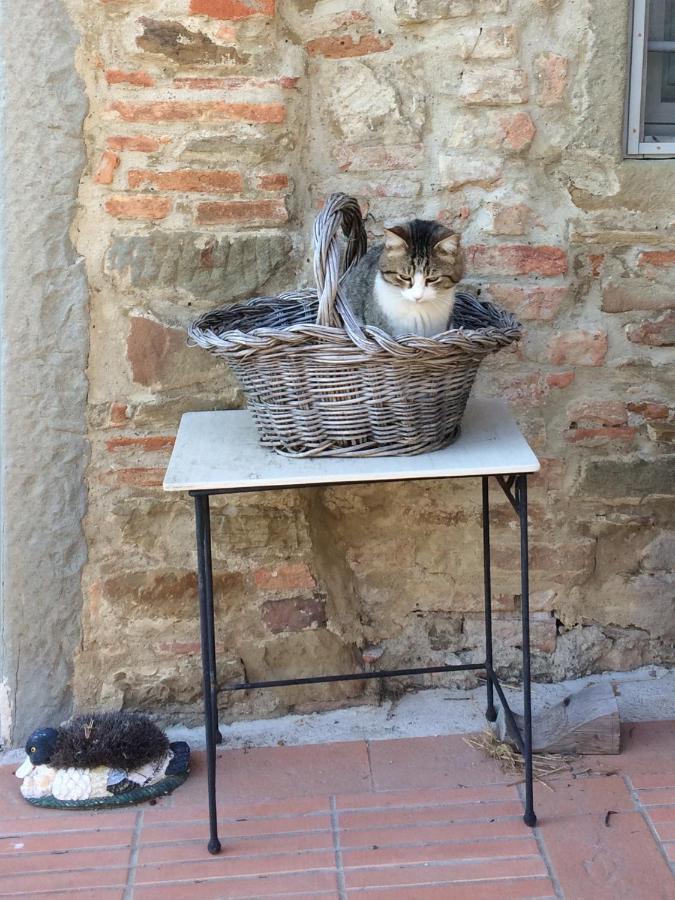 Agriturismo Corzano Barberino di Mugello Dış mekan fotoğraf