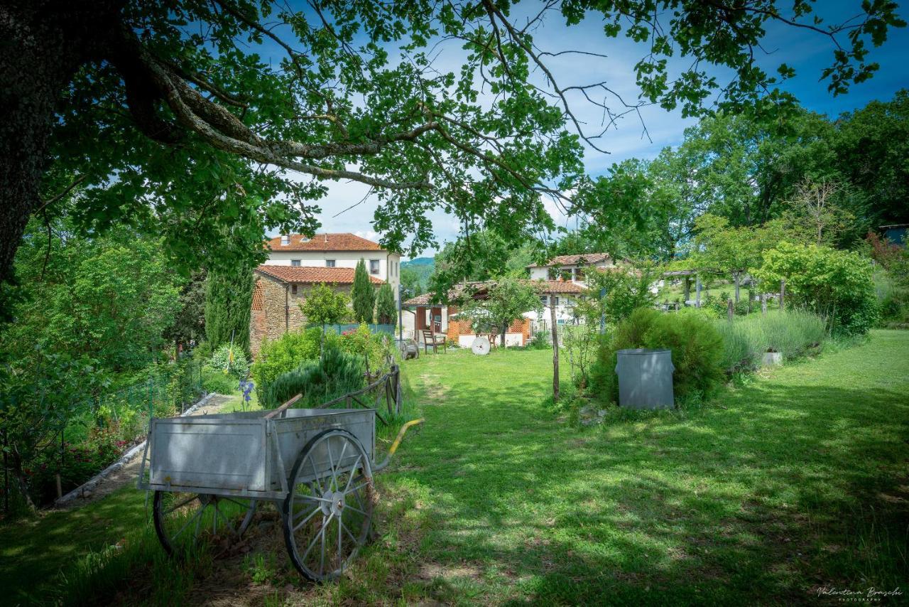Agriturismo Corzano Barberino di Mugello Dış mekan fotoğraf